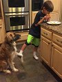 Alex_MrMooch-ItShouldBe (5)